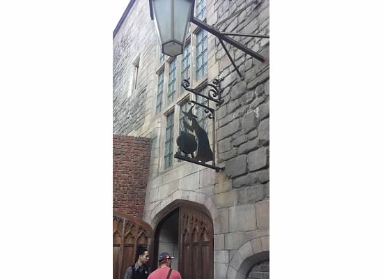 leaky cauldron