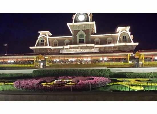 magic kingdom at night