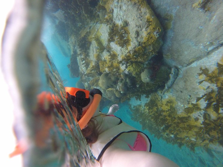 snorkel5